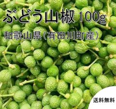 【予約販売・クール便】紀州ぶどう山椒（実山椒）　１００ｇ　青山椒　和歌山