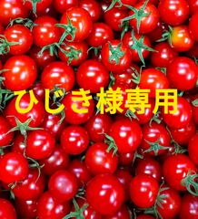 ひじき様専用　３kg＋100g 　クール便