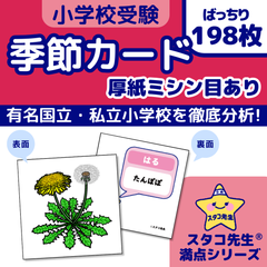 小学校受験　季節カード (ミシン目あり)　季節　きせつ　幼児教育　知育