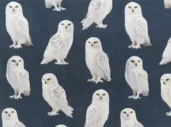 ２００５年　ヘドウィグ　T シャツ　Mサイズ　三上博史 2005年 ヘドウィグ T シャツ Mサイズ 三上博史