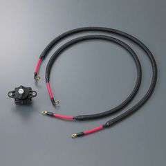 Item thumbnail for item a420990e-7b1b-4900-8881-2fb9fc3e191e