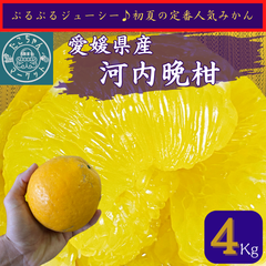 【予約販売】人気の晩柑★愛媛県産　河内晩柑（宇和ゴールド、美生柑）　4Kg