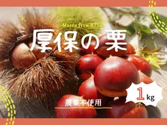 2025年最新】厚保栗の人気アイテム - メルカリ
