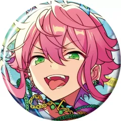 2026年最新】あんさんぶるスターズ! コレクション缶バッジ[2024 Dec