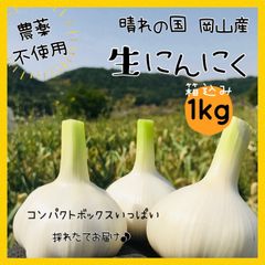 【1kg】生にんにく『倉敷ホワイト』【新鮮無農薬野菜】