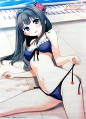 【中古】タペストリー 綾瀬紗雪 描き下ろしB2タペストリー 「PSPソフト your diary+」 WonderGOO予約特典