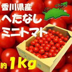 【香川県産 お徳用】 へたなし ミニトマト 約1kg 産地直送 トマト お徳用 訳あり 大容量 野菜のサムネイル