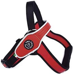 Item thumbnail for item 26d8e21d-c985-477c-a90c-65afea91bcbd