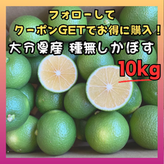 市原かぼす園「かぼす10kg(種無し)」種無しかぼす/大分県佐伯市特産品/ご家庭/贈答品にも/送料無料