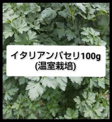自家栽培(温室栽培) スペアミント100g 冷蔵便 - メルカリ