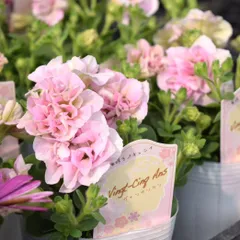 maitan1014様専用ページ