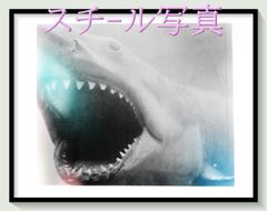 エドワード・ゴーリー ポーチ クリーナークロス ボールペン セット