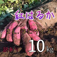 さつまいも 千葉県産紅はるか 特大サイズ 10kg 訳ありのサムネイル