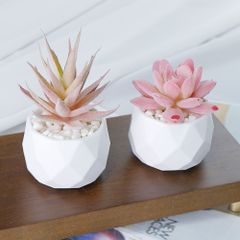 フェイクグリーン 多肉植物 2個セット ガラスポット - メルカリ