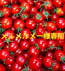 メルメルメー様専用　3kg＋100g　クール便