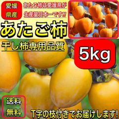 あたご柿 (愛宕柿) 愛媛県 丹原産 約 5kg 大玉（L～３Lサイズ混合）