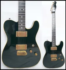 2025年最新】SCHECTER テレキャスの人気アイテム - メルカリ