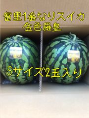 富里1番なりスイカ味きららL&2Lサイズ計2玉入り - メルカリ