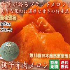 銚子メロン 赤肉厳選 約3kg 2玉入り 千葉県産 贈答規格 大玉限定 クインシー・タカミレッドなど 緻密な果肉に濃厚な甘さ！第16回日本農業賞受賞のブランド果物