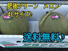熊本産　秀品　肥後グリーン　メロン　4Lサイズ×2個セット