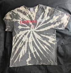 Champion　チャンピオン　古着Tシャツ　グレー　XL