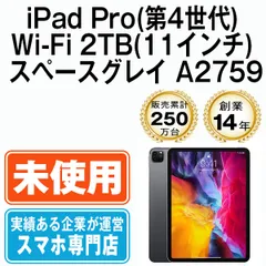 2024年最新】Apple アップル iPad Pro 11インチ Wi-Fi 64GB MTXN2J/A