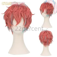 セット済み　コスプレ　完成ウィッグ 観音坂独歩 ヒプノシスマイク 観音坂独歩 セット済みコスプレウィッグ（受注）