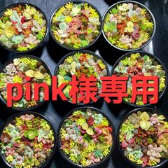 pink様専用