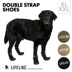 【ダブルストラップシューズXL-XXL】犬 靴 犬靴 犬の靴 ドッグシューズ ラバー お散歩 雨の日 中型犬 大型犬 シニア 介護 怪我 ケア［ライフライク LIFELIKE公式］