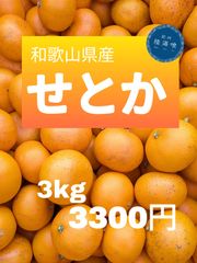 小玉せとか　家庭用