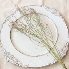 かすみ草 カラードライ（染ピンク・ホワイト）5本セット