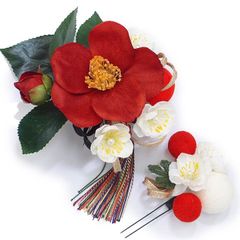 Item thumbnail for item abb18566-f6c4-4163-b7e1-b0c6cb6e17f1