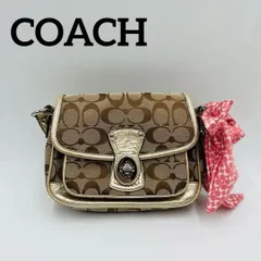 2024年最新】coach ツイリーの人気アイテム - メルカリ