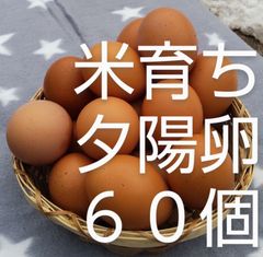 夕陽卵米育ち自然養鶏 卵90個 クール便 - メルカリ