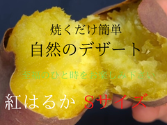 甘党さん集まれ〜！！さつまいも 紅はるか ５kg！Sサイズ　【自然のデザート】