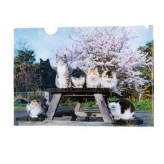 simabossneko's shop - メルカリShops