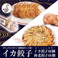 餃子 取り寄せ 冷凍餃子 お取り寄せグルメ ぎょうざ 冷凍 [美食点心ぎょうざ館] 海老餃子&イカ餃子セット（16人前／96個）※北海道・沖縄・離島発送不可