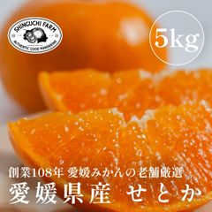【創業108年 愛媛みかんの老舗】せとか 5kg 愛媛県産