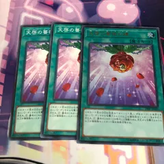 698 天啓の薔薇の鐘　20枚セット 698 天啓の薔薇の鐘 20枚セット 楽天市場】遊戯王 天啓の薔薇の