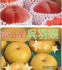 希少☆限定７名様先着☆お手軽セット☆富山産呉羽梨☆山梨もも☆４～５玉入りセット