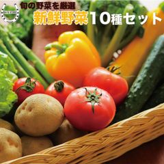 お任せ 野菜セット 約10種 福袋 2024 仕送りにもおすすめ 常備菜 京野菜 泉州野菜 など 野菜 詰め合わせ 野菜セット ギフト 贈り物 野菜セット 野菜 生鮮品 生鮮食品 野菜詰め合わせ じゃがいも 人参 玉ねぎ 常備野菜