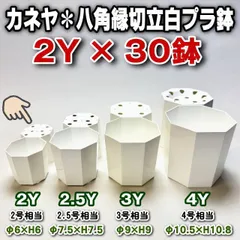 ミニプラ鉢専門店＊2Y-カネヤ＊八角鉢縁切立プラ鉢-2Y(外径φ約6cm×高6cm)30鉢セット＊カネヤ兼弥産業＊多肉植物・塊根植物コーデックス・アガベ・サボテン・盆栽・観葉・ハオルチア・アデニウム・パキポディウム＊グラキリス・実生さし芽＠フラワーショップ江口のサムネイル