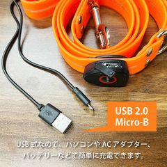 犬 リード 光る ペット用 リード LED光るリード