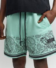REASON CLOTHING LUCA SHORTS【MINT】 (M・L・XL)(リーズン クロージング メンズ 大きいサイズ ハーフパンツ ショーツ ショートパンツ ペイズリー PAISLEY)