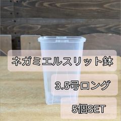 【セール】ボスウェリア　ネグレクタ　No.001　メルカリ便　鉢、送料込 透明スリット鉢（ ネガミエル ）【 3号ロング × 5個SET