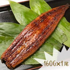 【送料無料】うなぎ蒲焼 国産一色産 特大 真空P 1尾 (1尾約160g)