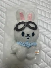 Stray Kids(ストレイキッズ・スキズ・SKZ) リービット(Leebit) 10cm 人形 ぬいぐるみ ぬい