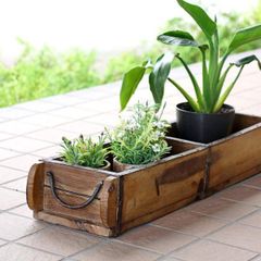 カラーリーフのロングウッドプランター寄せ植え - メルカリ
