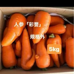 ハネ出し品「白・黄」とうもろこし 10kg箱 クール便 - メルカリ