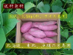 北海道、東北、沖縄の方専用 なると金時 お試し(サイズ、形色々)1.5kg